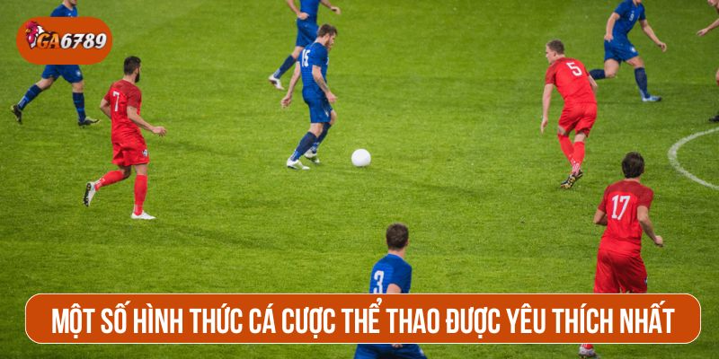 Một số hình thức cá cược thể thao được yêu thích nhất