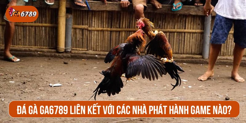 GA6789 hợp tác với những nhà cung cấp dịch vụ phát sóng hàng đầu