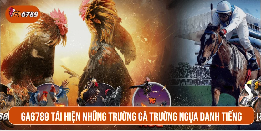 GA6789 tái hiện những trường gà trường ngựa danh tiếng