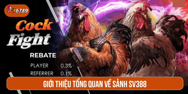 SV388 quy tụ những trận đá gà xuất sắc