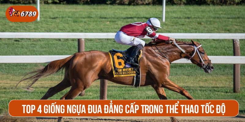 giống ngựa đua