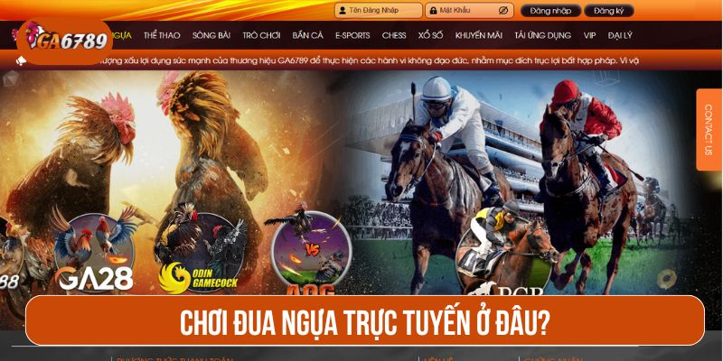 GA6789 đem đến những trận đua ngựa đầy kịch tính