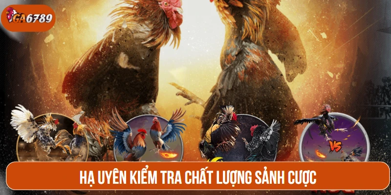 Hạ Uyên kiểm tra chất lượng sảnh cược