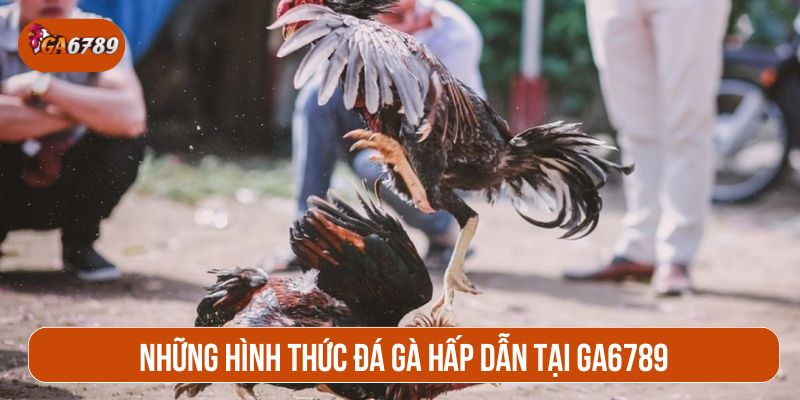 Người chơi sẽ được lựa chọn nhiều loại hình đá gà hấp dẫn