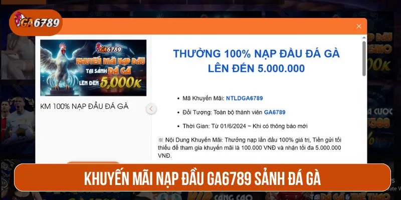 Chương trình ưu đãi nạp 100% sảnh đá gà