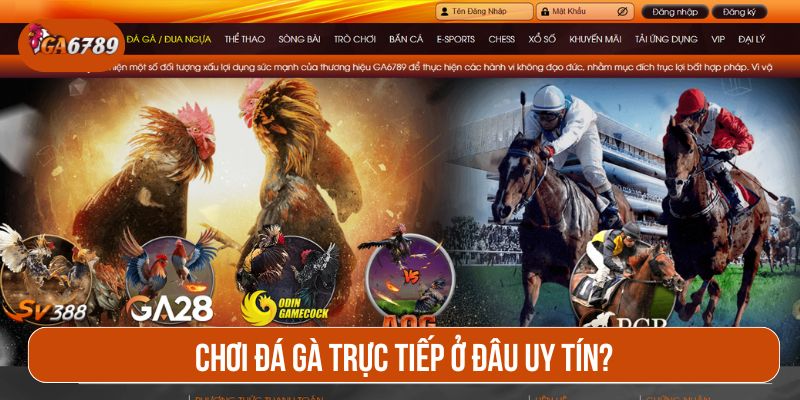 Truy cập GA6789 ngay hôm nay để vào sảnh đá gà đỉnh cao