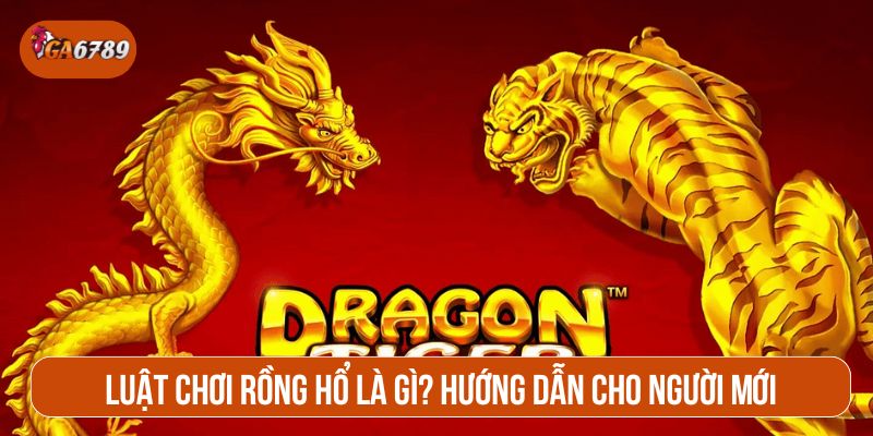 Luật chơi Rồng Hổ