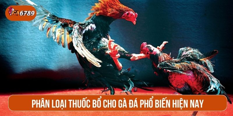 Thuốc bổ cho gà đá được chia thành nhiều loại khác nhau