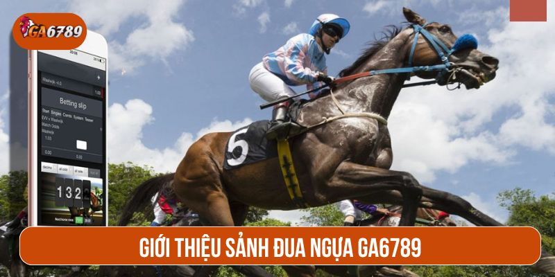Giới thiệu sảnh đua ngựa GA6789