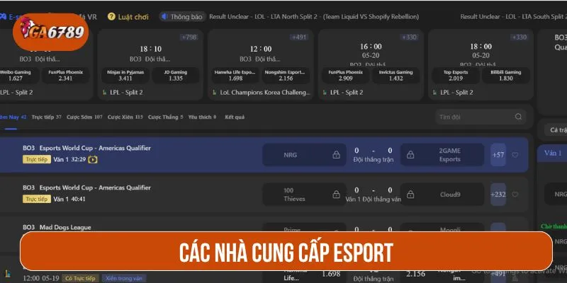 Những nhà cung cấp uy tín tại GA6789