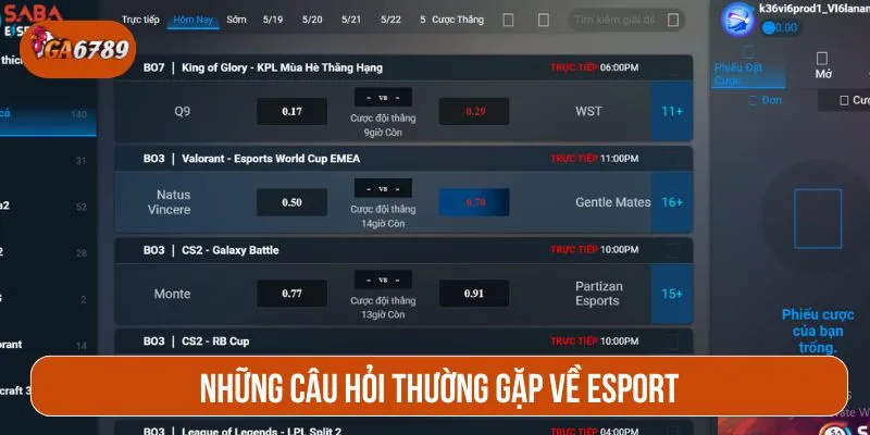 Những thắc mắc thường gặp về sảnh cá độ