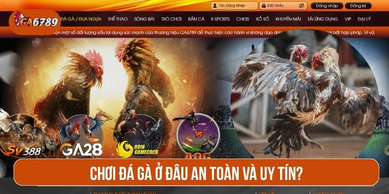 Truy cập GA6789 để trải nghiệm đá gà đỉnh cao ngay hôm nay