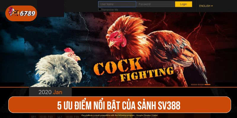 Sảnh SV388 đem lại sự tiện lợi và hứng thú